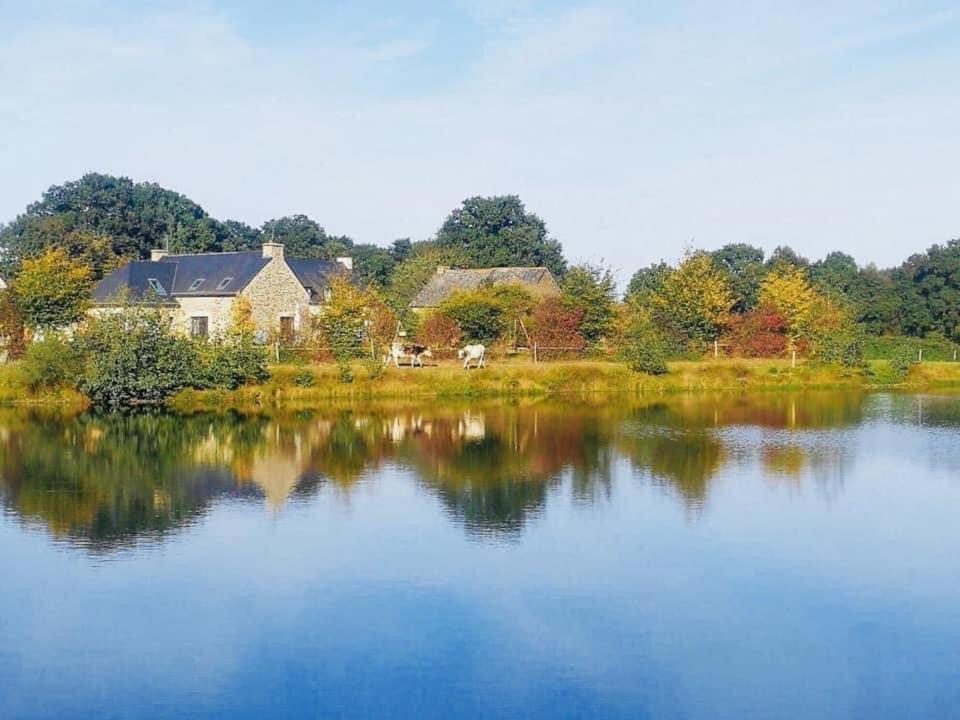 Au Petit Bonheur De Claire Et Jo Bed & Breakfast La Chapelle-Caro Exterior photo